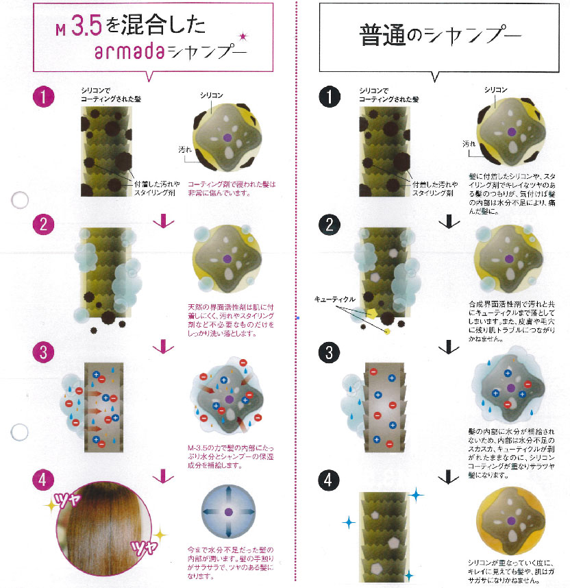 アルマダシャンプーとシャンプーの違い
